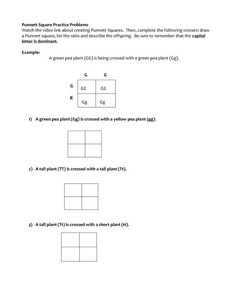 READ each quesiton twice to make sure you are answering what it asks!. . Punnett square practice problems with answers
